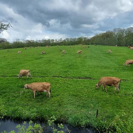 B&B In De Roos Noordbergum Dış mekan fotoğraf
