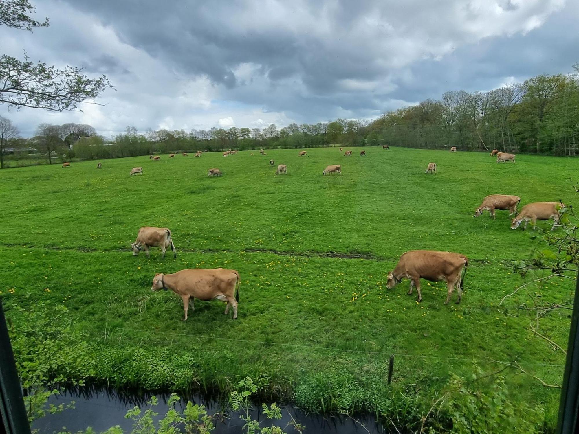 B&B In De Roos Noordbergum Dış mekan fotoğraf